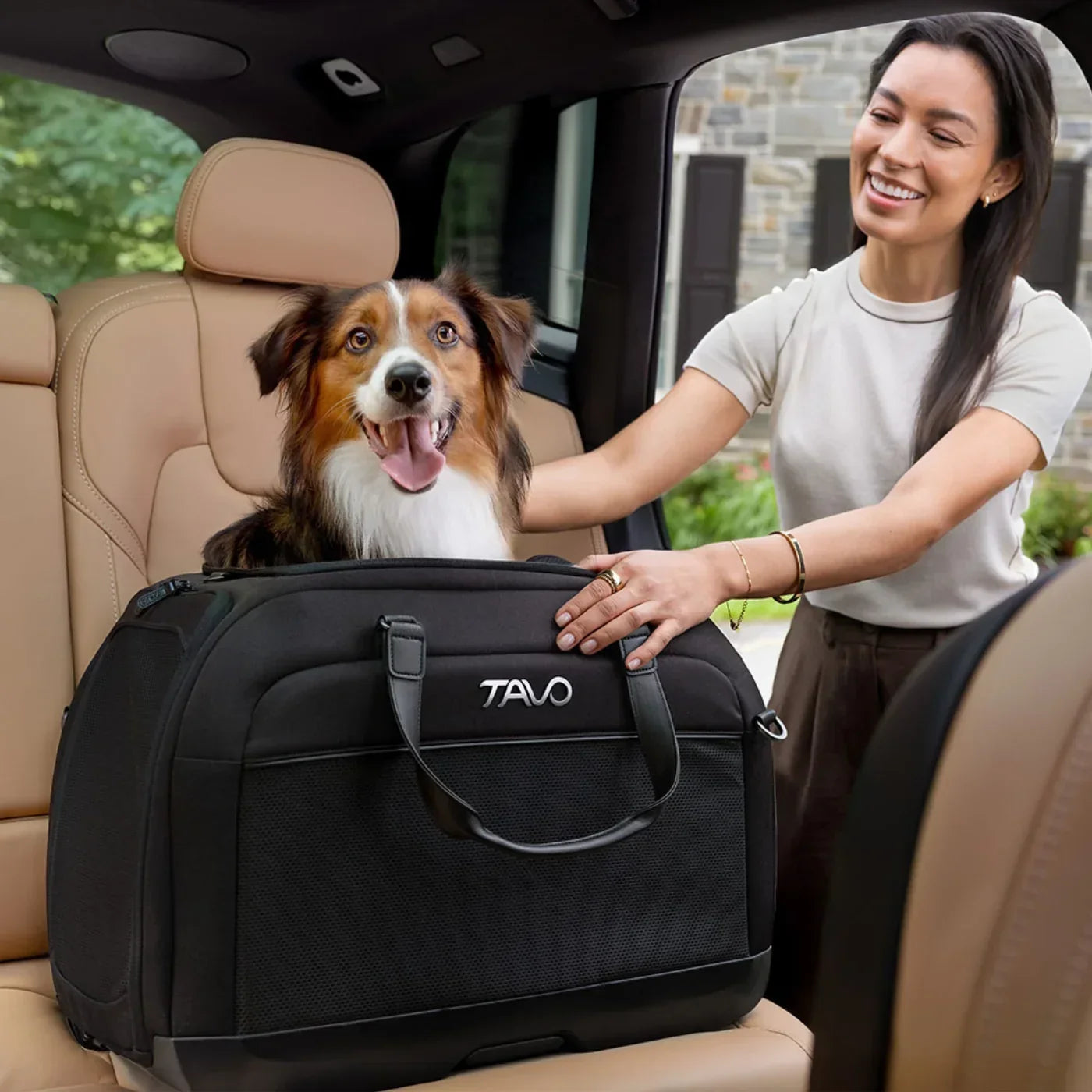 TAVO ja koiran turvallinen automatkustaminen - miksi koira pitää kiinnittää autossa?