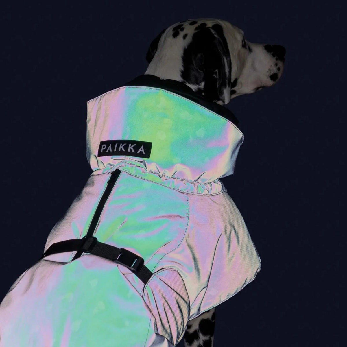 PAIKKA_Visibility_koiran_Talvitakki_Seawool_Grey_Leo_Hauva
