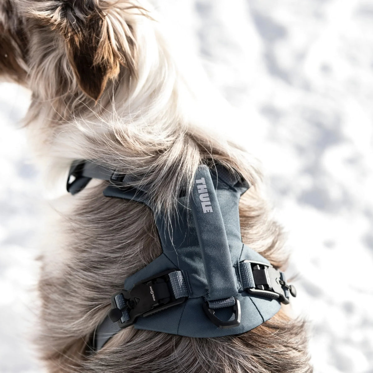 THULE_Dart_Koiran_valjaat_Dark_Slate_Hauva