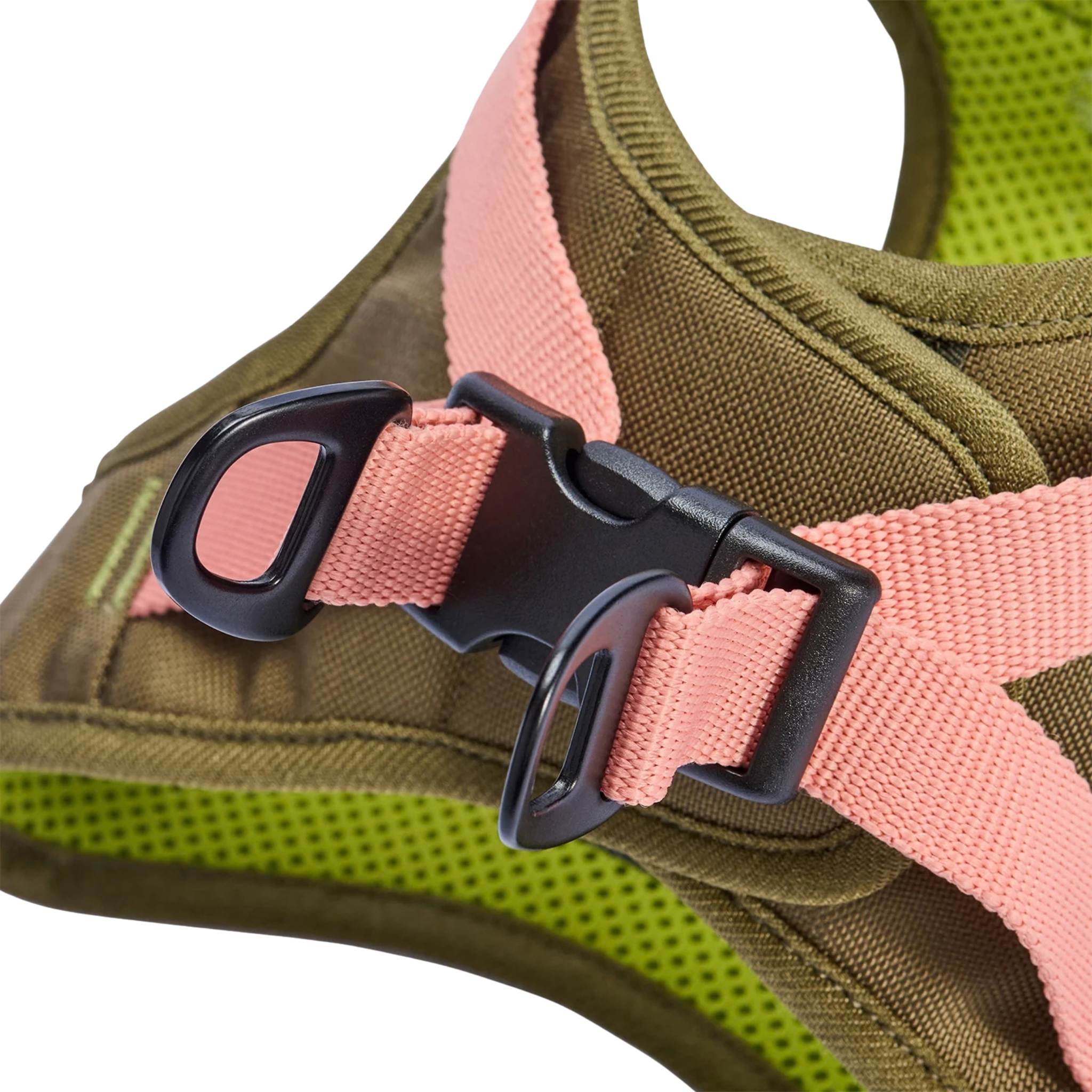 Cloud7_Aktiv_V2_koiran_valjaat_Cordura_Hauva