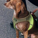 Cloud7_Aktiv_V3_Knit_Khaki_Neon_Green_koiran_valjaat_Hauva