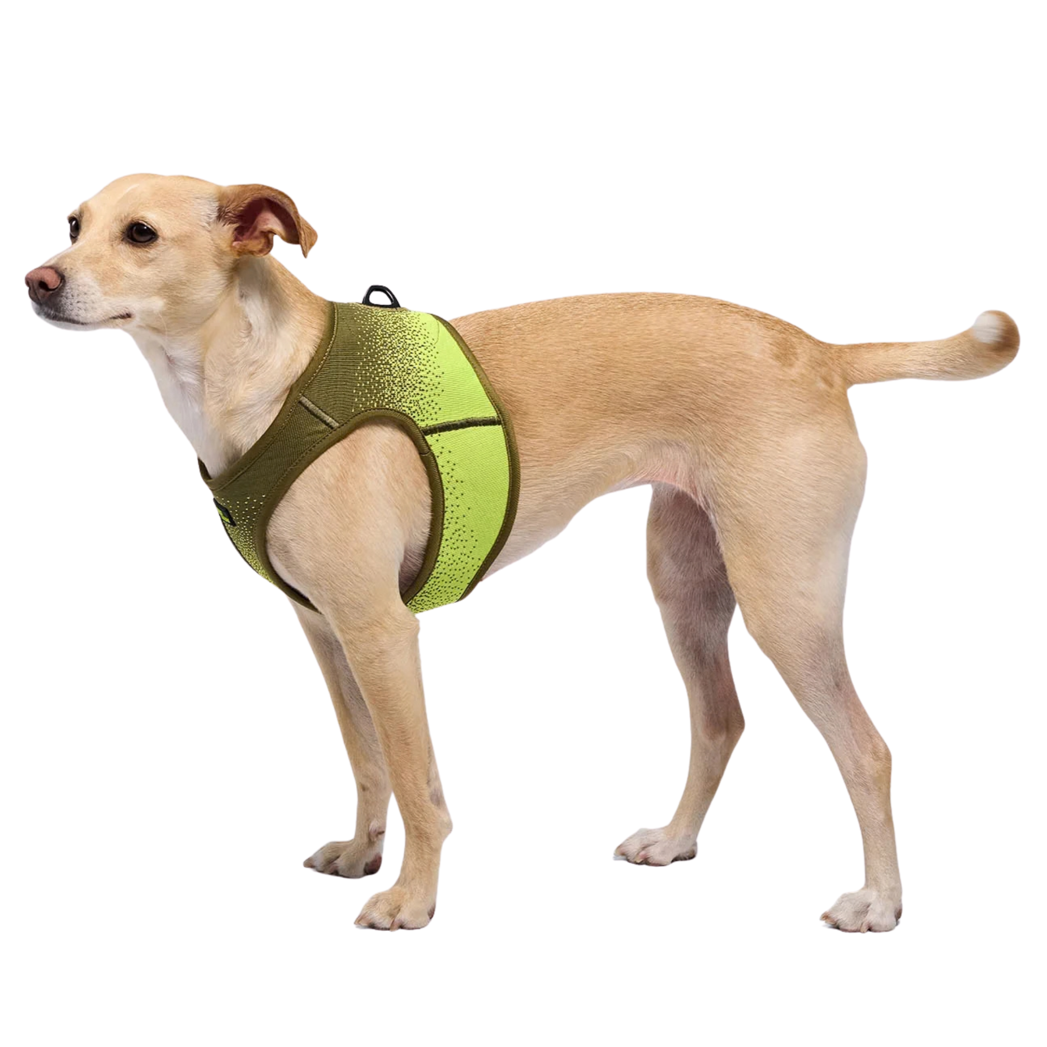 Cloud7_Aktiv_V3_Knit_Khaki_Neon_Green_koiran_valjaat_Hauva