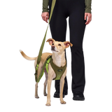 Cloud7_Aktiv_V3_Knit_Khaki_Neon_Green_koiran_valjaat_Hauva