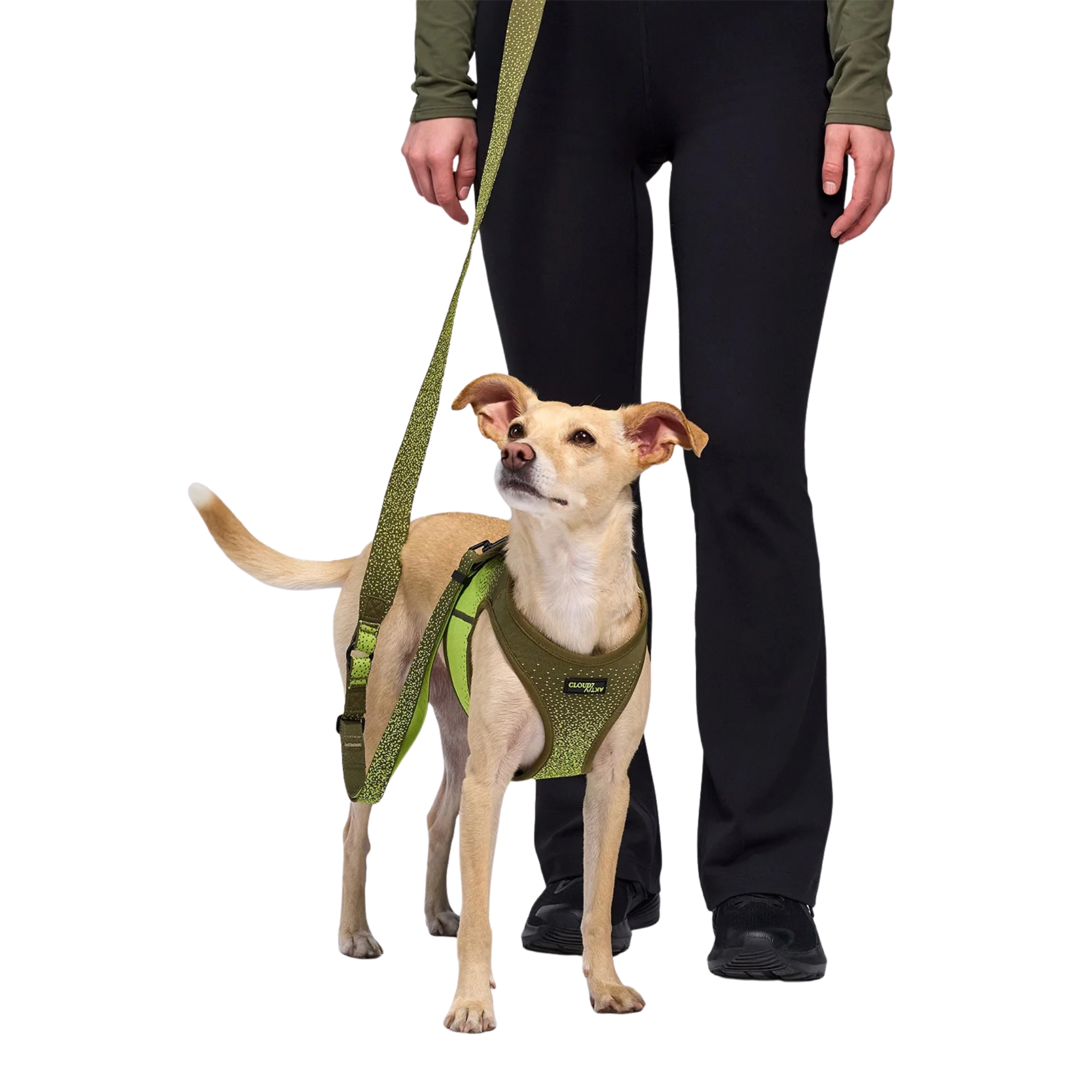 Cloud7_Aktiv_V3_Knit_Khaki_Neon_Green_koiran_valjaat_Hauva