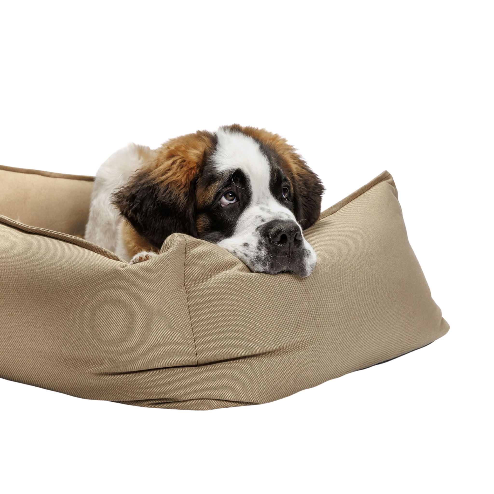 Cloud7_Boost_Canvas_koiran_peti_Beige_Hauva