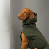 Cloud7_Dublin_2_koiran_sadetakki_Dark_Olive_Hauva